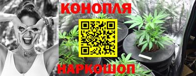 mdpv Можайск