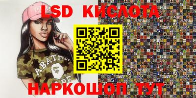 прущие грибы Можга