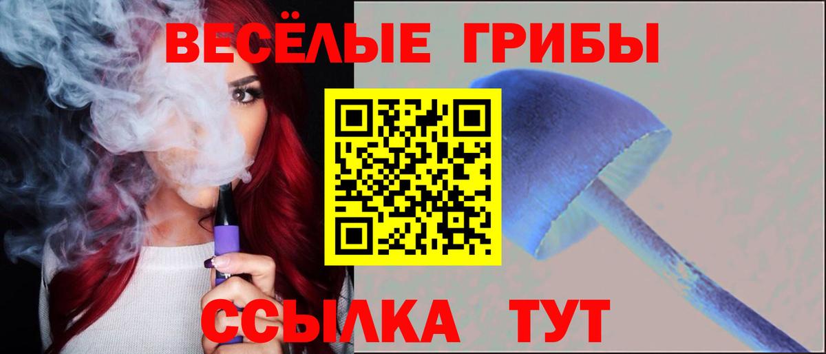 где купить наркотик  Вход с VPN  Галлюциногенные грибы мицелий  Учалы  Псилоцибиновые грибы мицелий 
